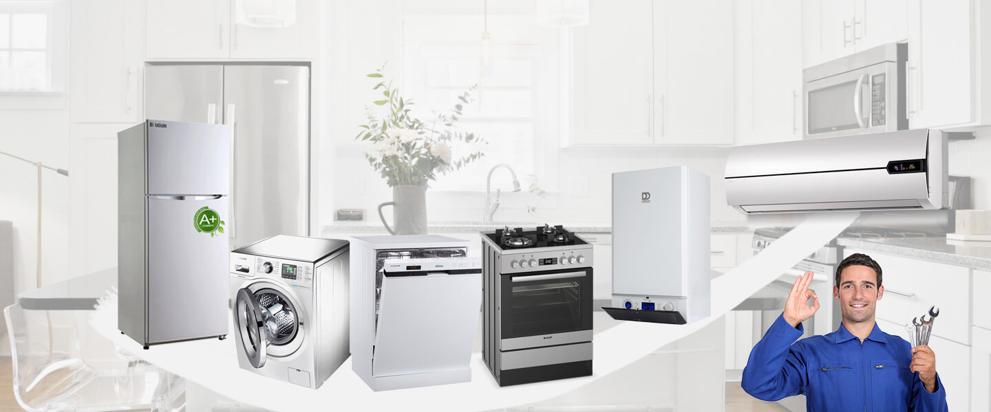 Hopa Philips Servisi